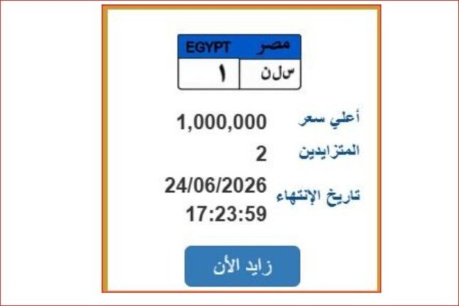 «س ل ن 1».. المرور تطرح لوحة سيارة مميزة سعرها يصل إلى مليون جنيه