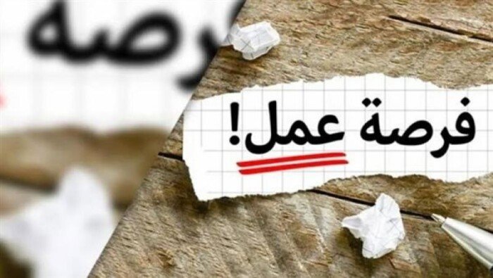 وظائف شاغرة بوزارة النقل عبر بوابة الوظائف الحكومية