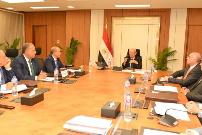 نائب رئيس الوزراء يعتمد توزيع 1.061 مليار جنيه أرباحًا إضافية لـ5 شركات قابضة