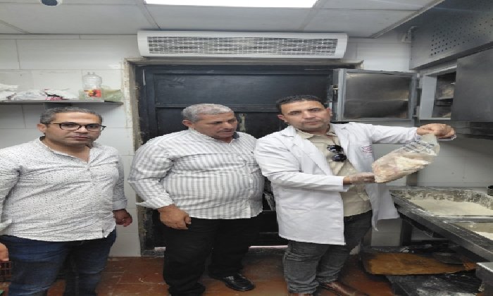 ضبط أطنان من الدواجن واللحوم مجهولة المصدر في حملة بالشرقية