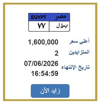 «بطل 77».. طرح التزايد على لوحة سيارة مميزة عبر بوابة مصر | اعرف الخطوات