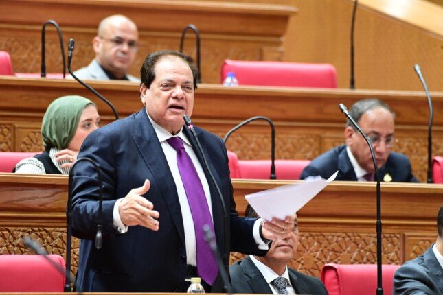 أبو العينين: مصر تتمتع بمناخ آمن للاستثمار بفضل ثورة 30 يونيو