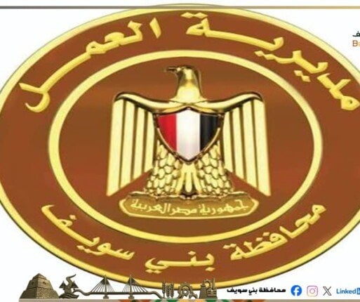 900 فرصة عمل و295 ألف جنيه إعانات.. حصاد «مديرية عمل بني سويف» في شهر واحد