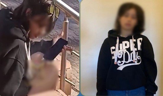 ضبط فتاة أجنبية بتهمة تدخين «سيجارة حشيش» على أحد الأرصفة