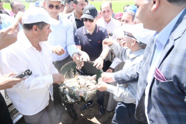 محافظ الغربية يُطلق أول مشروع للاستزراع السمكي داخل حقول الأرز لتعظيم إنتاج الفدان