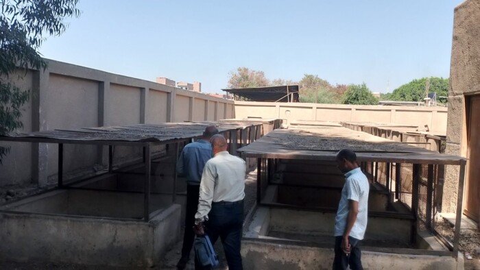 بالاشتراطات الفنية والبيطرية.. إطلاق أول مأوى (شلتر) للكلاب الضالة في المنيا