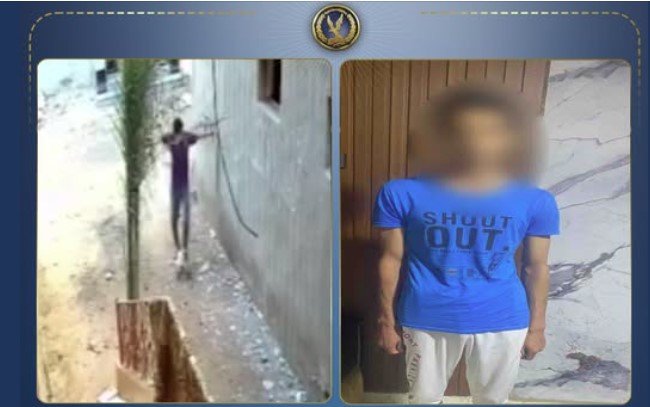 يعاني من اضطرابات نفسية.. الداخلية تكشف ملابسات تعدي شخص على قطة بكفر الشيخ