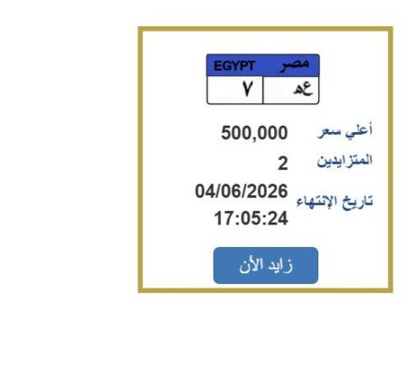 سعرها وصل نصف مليون جنيه.. مزايدة نارية على لوحة سيارة مميزة