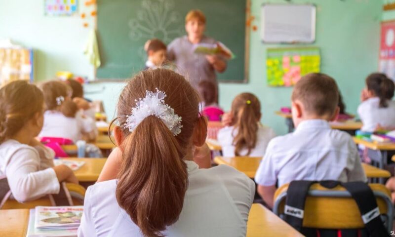 «معلمون وأخصائيون».. التخصصات المطلوبة في وظائف المدارس الرسمية الدولية IPS