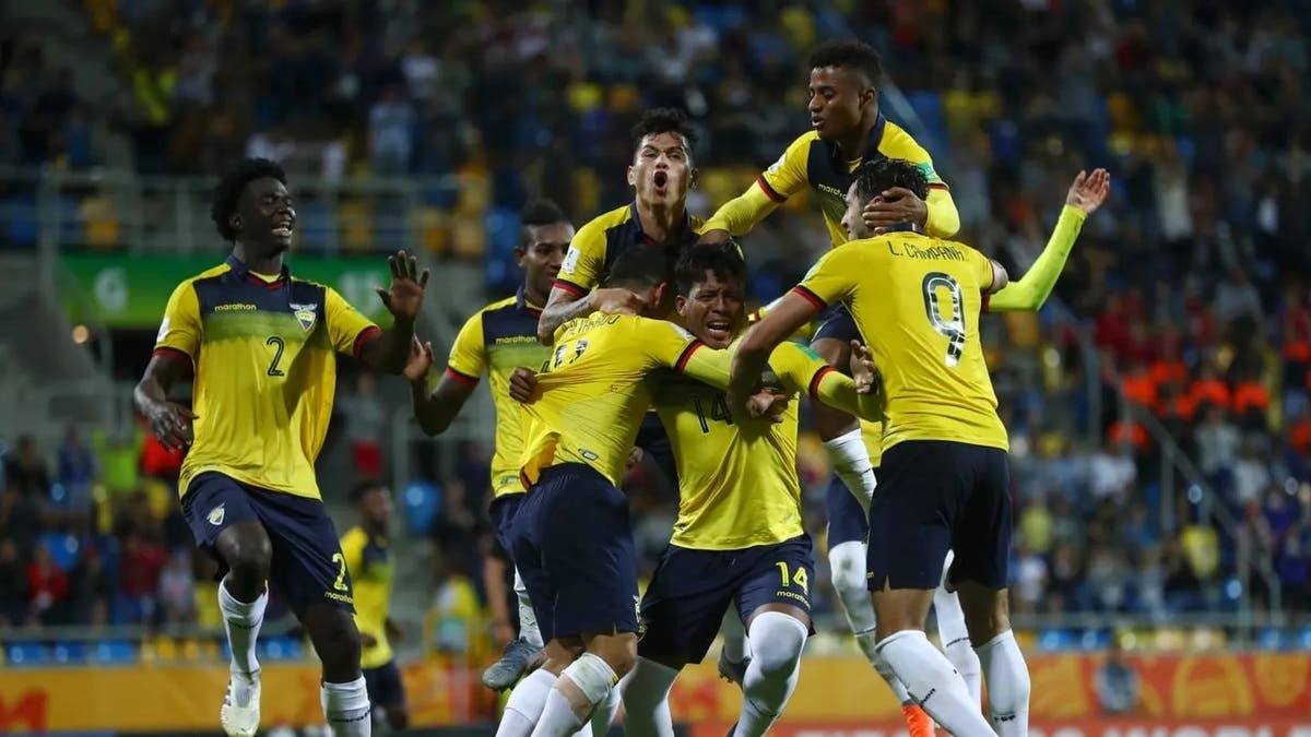 الإكوادور تخفض أسعار الجعة والنبيذ لـ”الاستمتاع” بالمنتخب