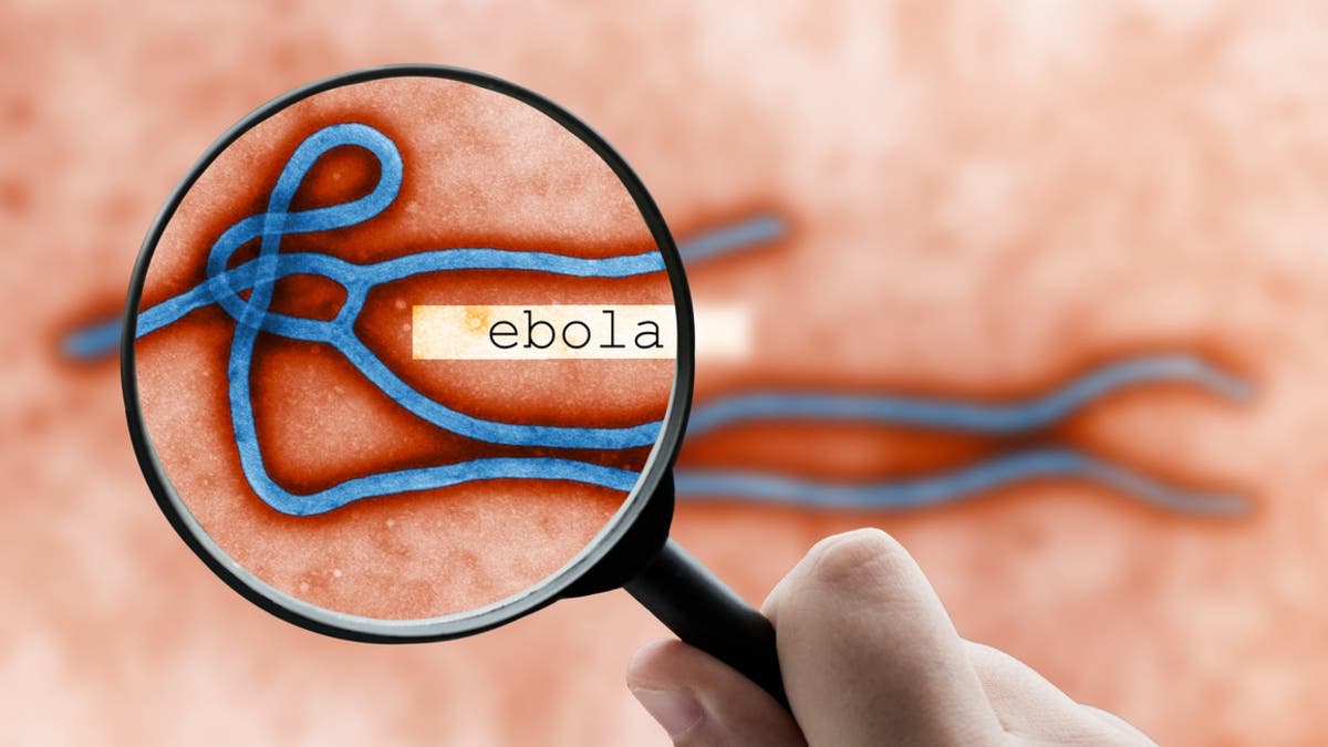 الصحة العالمية تشير إلى “نقاط غامضة” حول مدى انتشار فيروس إيبولا