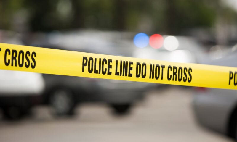 Woman killed in ‘random’ stabbing on MARTA train in Atlanta