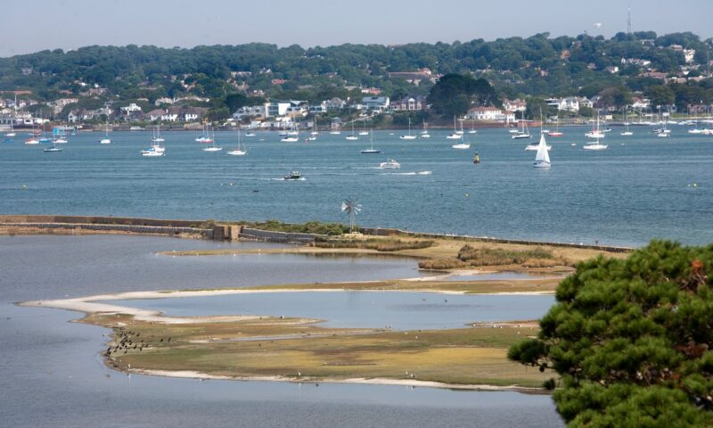 Three arrested in murder inquiry after man vanishes from sailing boat