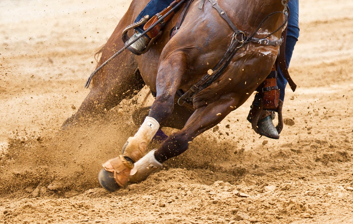 Teenage competitor accused of stabbing horses at Las Vegas barrel racing event, police say