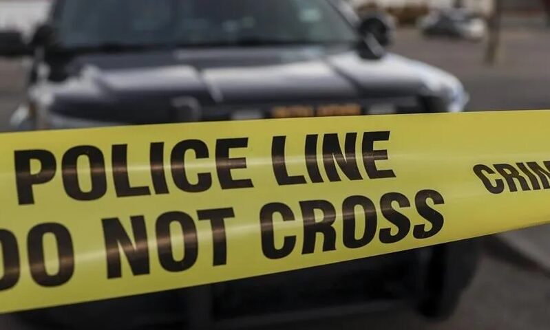 Driver hit and killed while outside vehicle on Highway 401: OPP