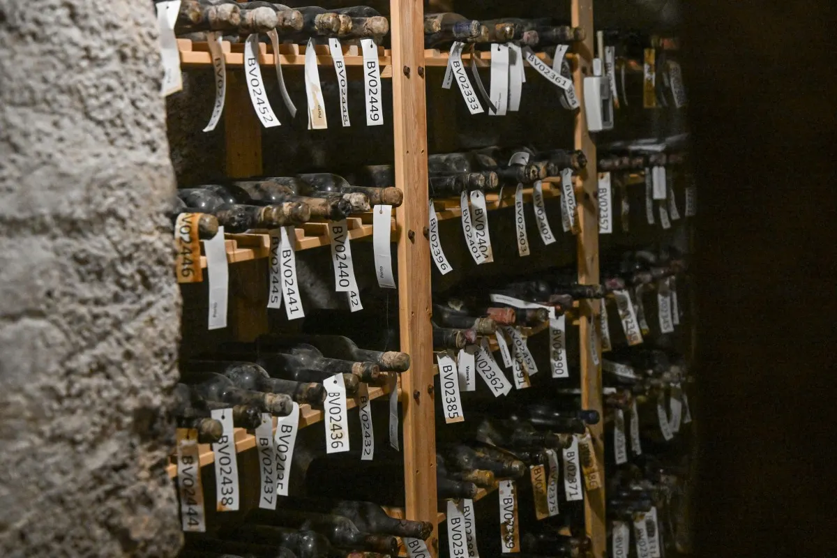 Legendary 130-year-old French wine restored after decades under Czech castle floor