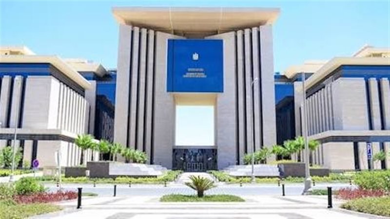 مصر تدين الهجوم الإرهابي على مطار نيامي الدولي في النيجر