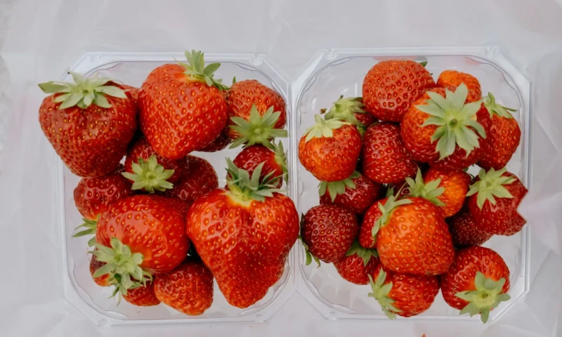EXPLAINED: How Norwegians change their diet during the summer