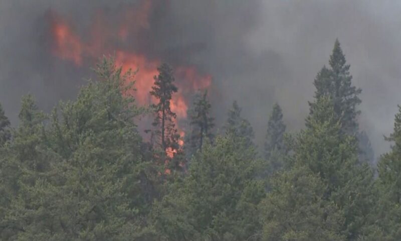 Wildfire fighting continues in Saskatchewan as blaze near Prince Albert slows