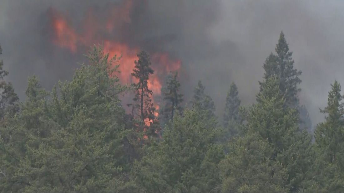 Wildfire fighting continues in Saskatchewan as blaze near Prince Albert slows