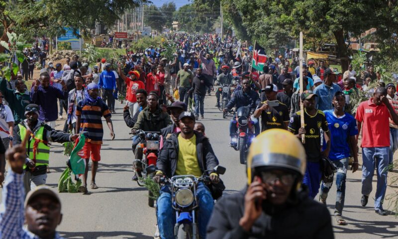 Hundreds protest plans to quarantine US Ebola patients in Kenya
