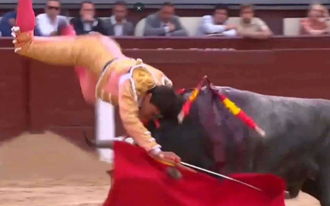 Moment matador is gored through the leg and tossed around by raging beast before bullfighter finishes bout
