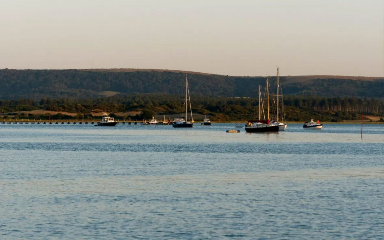 Murder probe launched after man goes overboard from sailing boat as body yet to be found