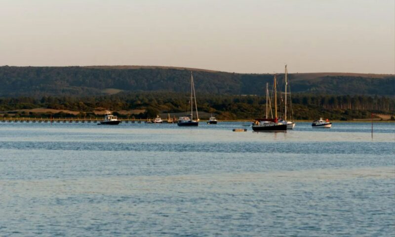 Murder probe launched after man goes overboard from sailing boat as body yet to be found