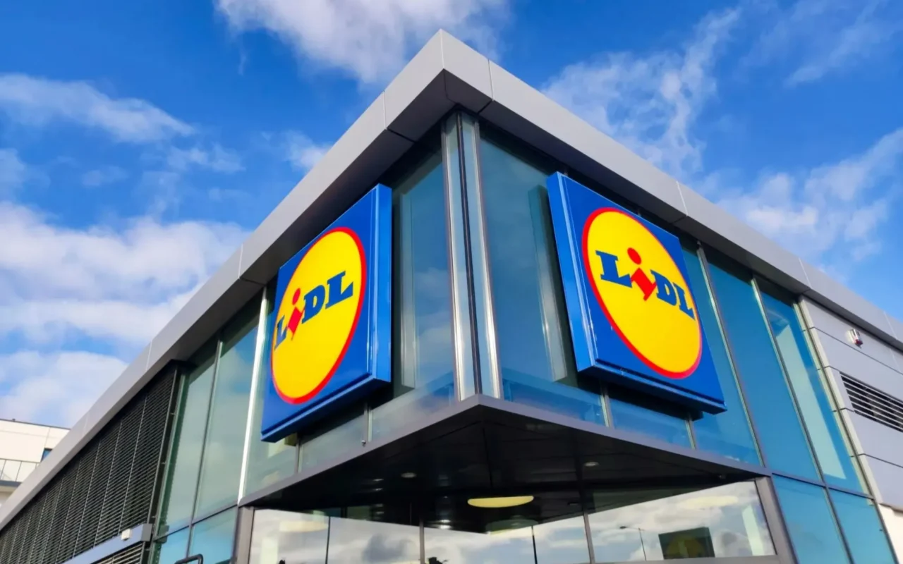 Mega new Lidl is finally confirmed for English seaside town – but only if supermarket pays £80,000 to rehome lizards