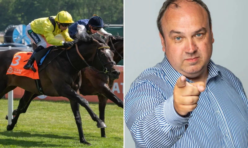 ‘He is a huge price but could easily be going there a Group 1 winner’ – Templegate’s 25-1 Royal Ascot ante-post tip