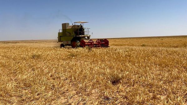 بين وفرة الإمكانات وتحديات الواقع… لماذا لا تحقق ليبيا أمنها الغذائي؟
