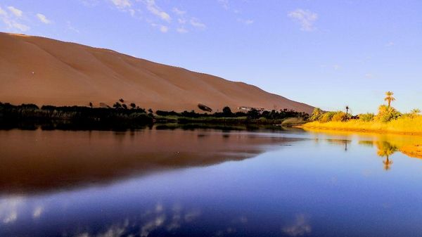خبير ليبي لـ”سبوتنيك”: الأراضي الرطبة في ليبيا ثروة بيئية مهددة والإهمال يهدد الطيور المهاجرة… صور