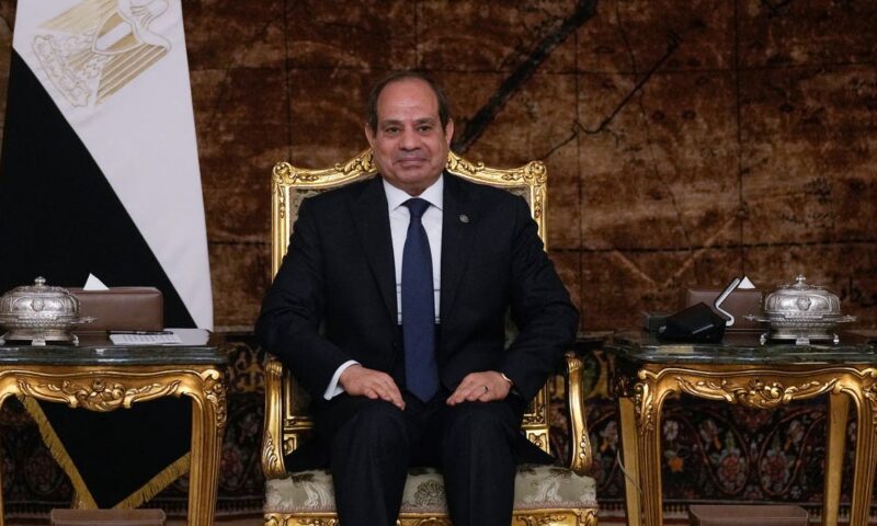 مصر تدرس استصلاح أراض في تنزانيا والربط اللوجيستي بين البلدين