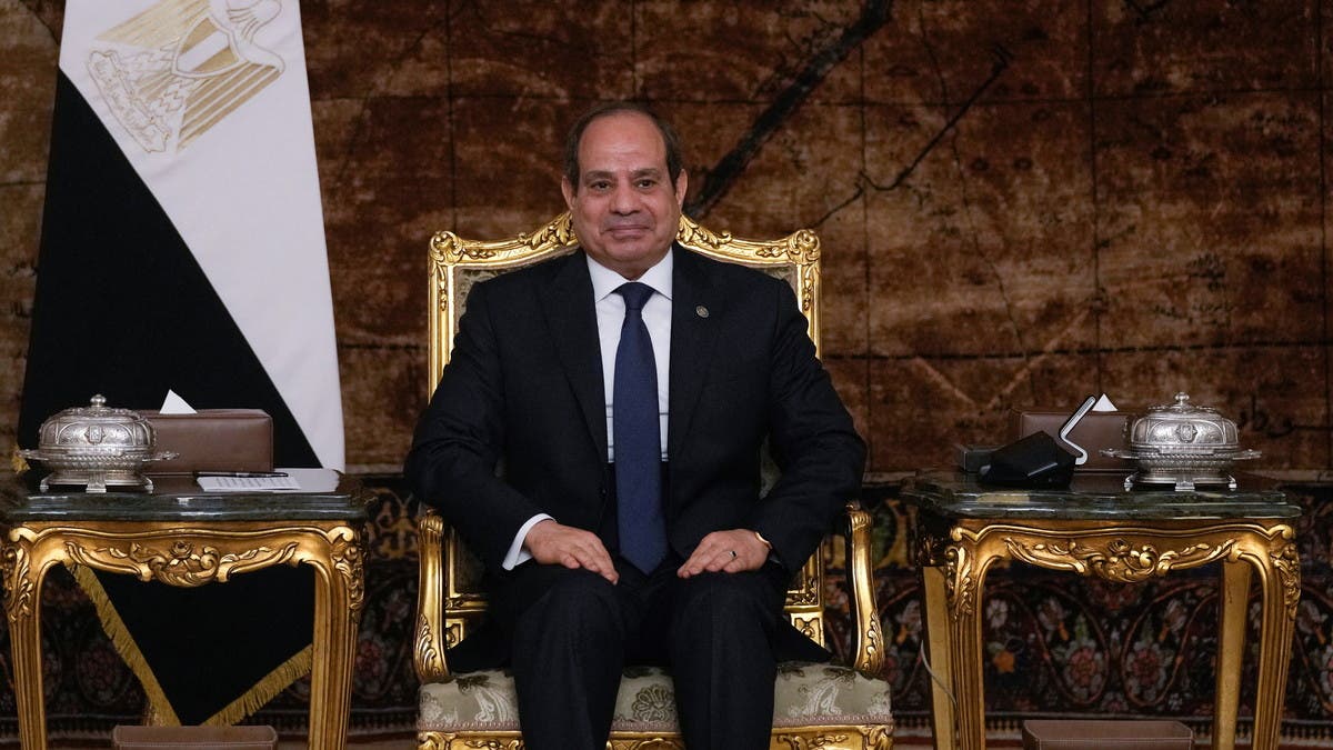 مصر تدرس استصلاح أراض في تنزانيا والربط اللوجيستي بين البلدين