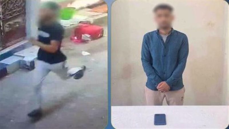 ضبط عاطل خطف هاتفا محمولا من سيدة أثناء سيرها فى الشارع بالبحيرة (فيديو)