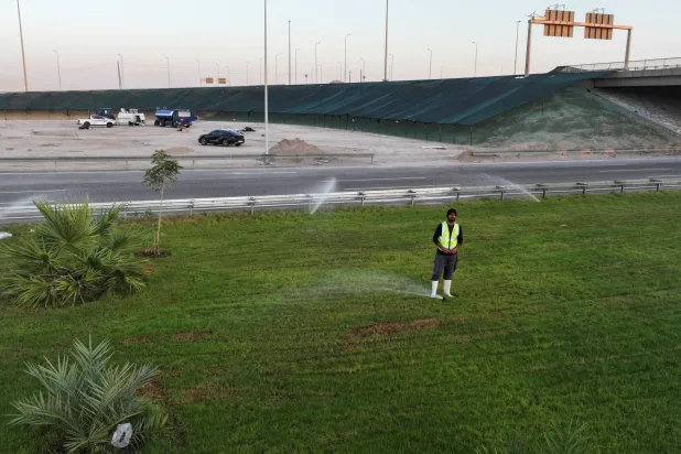 كيف تستخدم البصرة العراقية بذوراً هولندية هجينة لتلطيف الجو؟
