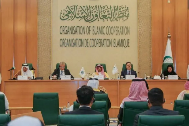 إدانة إسلامية لتقويض الحوثيين مؤسسات الدولة اليمنية