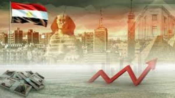 دبلوماسي سابق : القطاع الخاص شريك أساسي لتعزيز الاستثمارات المصرية في أفريقيا