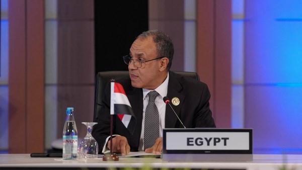 توسيع مجالات التعاون السياسي والاقتصادي والتنموي بين مصر دول جنوب شرق آسيا