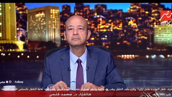 عضو بـ«الأعلى للثقافة»: ملف الطفل لم يعد أولوية ويحتاج مشروعًا قوميًا