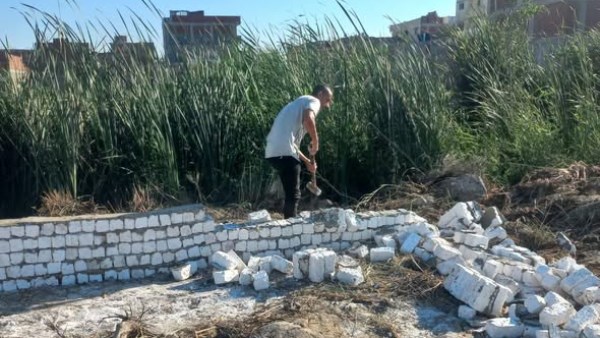 إزالة حالات تعد على أراض زراعية وبناء عشوائي مخالف في الإسكندرية