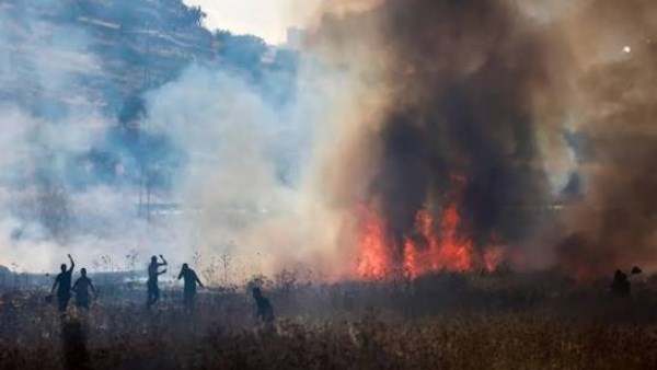 إصابة 3 فلسطينيين وإحراق منازل ومركبات في هجوم للمستوطنين على بلدة صرة جنوب غربي نابلس