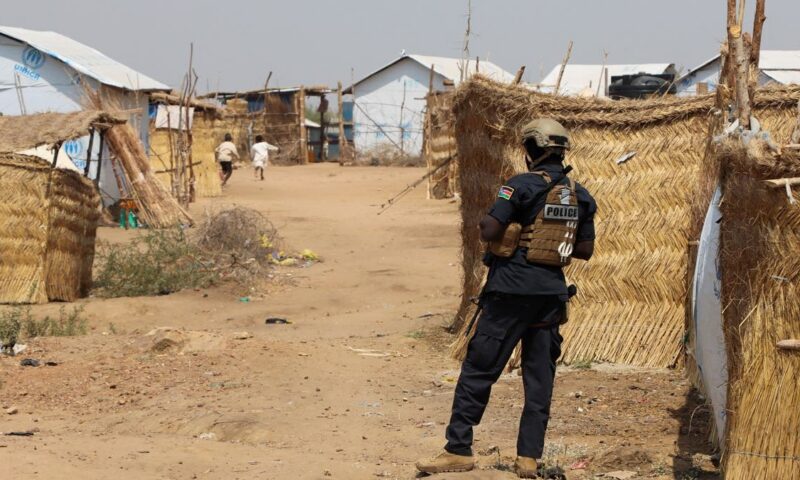 الجيش السوداني يعلن السيطرة على مدينة الكرمك بالنيل الأزرق