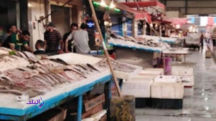استقرار أسعار الأسماك اليوم.. البلطي يبدأ من 73 جنيهًا والجمبري يقترب من 500 جنيه