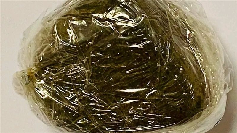 جمارك مطار الغردقة تحبط محاولة تهريب كمية من مخدر الحشيش مع راكب دنماركي