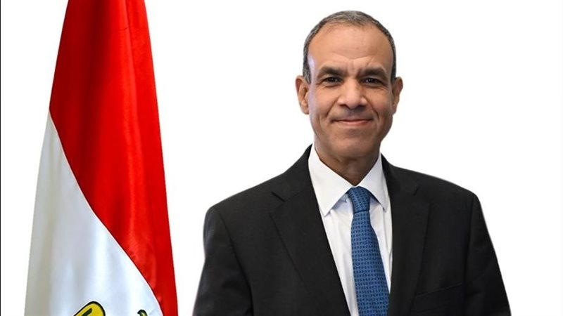 مصر تدين استهداف ناقلتي نفط إماراتيتين في مضيق هرمز