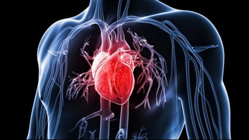 أسباب وأعراض الإصابة بأمراض القلب وطرق الوقاية منها