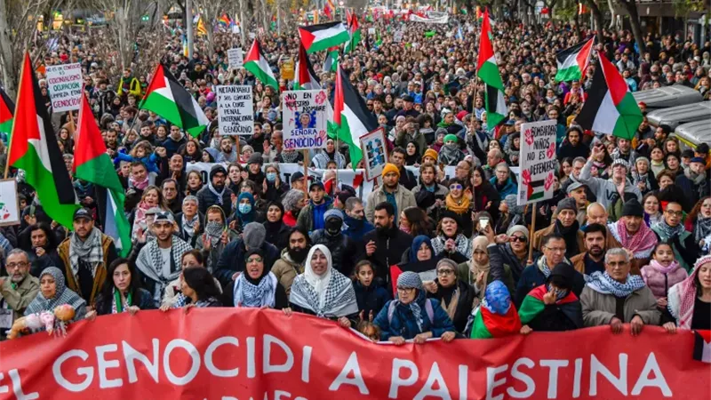 مسؤول إعلامي بغزة: نطالب الوسطاء وترامب بالضغط لفتح المعابر وعدم عرقلة عمل لجنة التكنوقراط