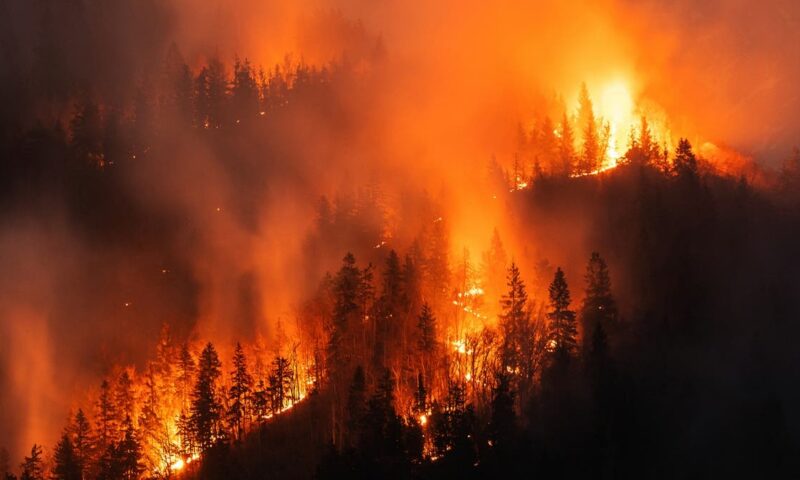 حرائق غابات ضخمة تجتاح جنوب فرنسا وتجبر العشرات على إخلاء منازلهم  