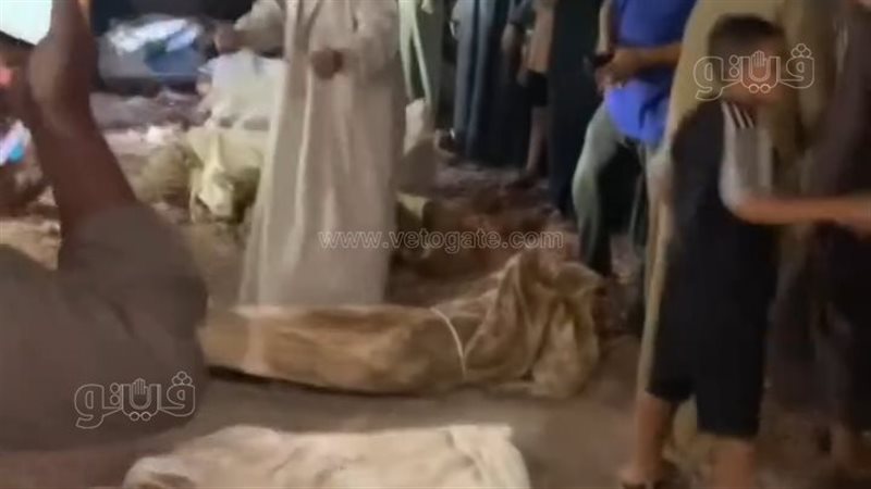 فيديو متداول يثير الجدل في الشرقية، استغاثات من الأهالي بسبب هدم مقابر بمركز ديرب نجم